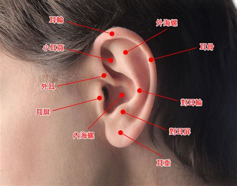 什麼人不適合穿耳洞 子五行属什么